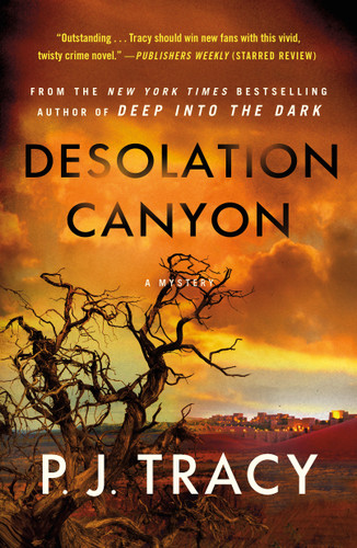 Desolation Canyon: A Mystery book cover by P. J. Tracy
