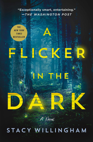 A Flicker in the Dark: A Novel book cover by Stacy Willingham