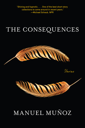 The Consequences: Stories book cover by Manuel Muñoz