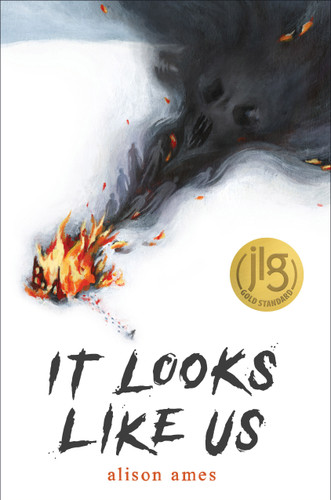 It Looks Like Us book cover by Alison Ames