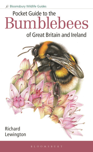Pocket Guide to the Bumblebees of Great Britain and Ireland (Bloomsbury Wildlife Guides) book cover by Richard Lewington