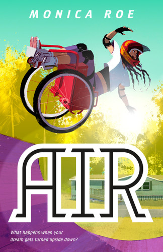 Air: A Novel book cover by Monica Roe