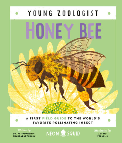 Honey Bee (Young Zoologist): A First Field Guide to the World's Favorite Pollinating Insect (Young Zoologist) [9781684492824]
