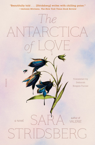 The Antarctica of Love: A Novel book cover by Sara Stridsberg