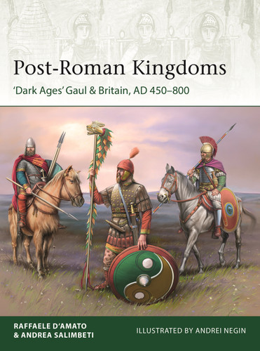Post-Roman Kingdoms: ‘Dark Ages' Gaul & Britain, AD 450–800 (Elite #248) book cover by Raffaele D’Amato