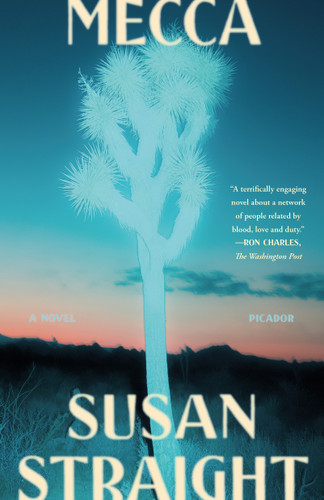 Mecca: A Novel book cover by Susan Straight