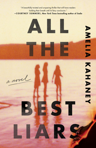 All the Best Liars: A Novel book cover by Amelia Kahaney