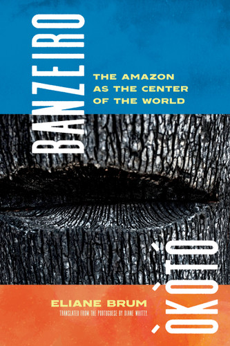 Banzeiro Òkòtó: The Amazon as the Center of the World book cover by Eliane Brum