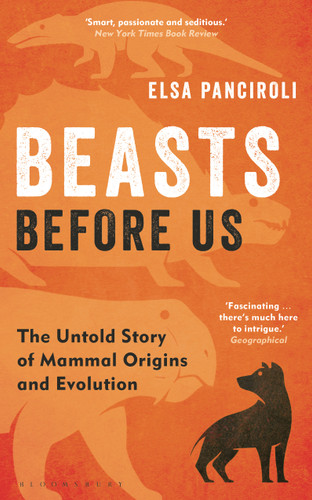 Beasts Before Us: The Untold Story of Mammal Origins and Evolution book cover by Elsa Panciroli