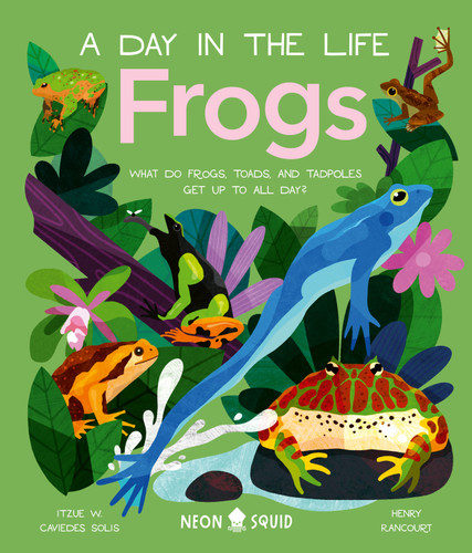 Frogs (A Day in the Life): What Do Frogs, Toads, and Tadpoles Get Up to All Day? book cover by Dr Itzue W. Caviedes-Solis, Neon Squid