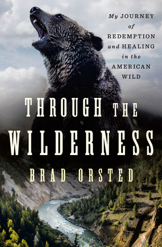 Through the Wilderness: My Journey of Redemption and Healing in the American Wild book cover by Brad Orsted
