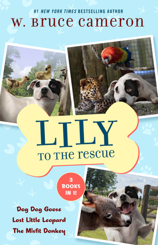 Lily to the Rescue Bind-Up Books 4-6: Dog Dog Goose, Lost Little Leopard, and The Misfit Donkey (Lily to the Rescue!) book cover by W. Bruce Cameron