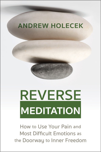 Reverse Meditation: How to Use Your Pain and Most Difficult Emotions as the Doorway to Inner Freedom book cover by Andrew Holecek