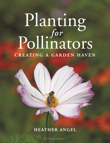 Planting for Pollinators: Creating a Garden Haven book cover by Heather Angel