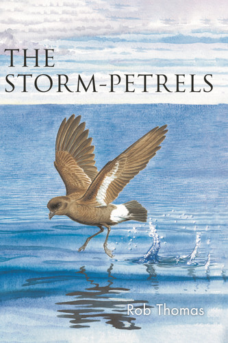 The Storm-petrels book cover by Rob Thomas