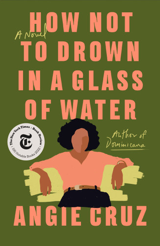 How Not to Drown in a Glass of Water: A Novel book cover by Angie Cruz