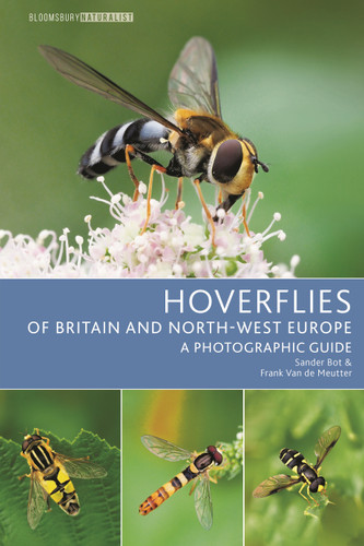 Hoverflies of Britain and North-west Europe: A photographic guide (Bloomsbury Naturalist) book cover by Sander Bot, Frank Van de Meutter