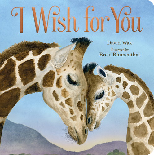 I Wish for You book cover by David Wax