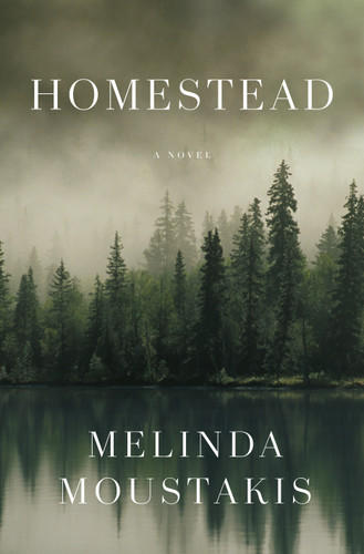 Homestead: A Novel book cover by Melinda Moustakis
