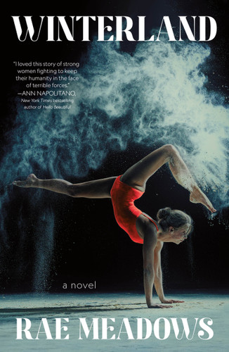 Winterland: A Novel book cover by Rae Meadows