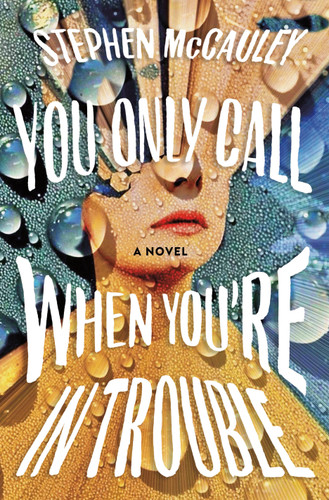You Only Call When You're in Trouble: A Novel book cover by Stephen McCauley