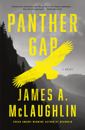Panther Gap: A Novel book cover by James A. McLaughlin