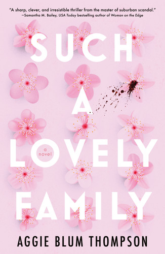 Such a Lovely Family book cover by Aggie Blum Thompson