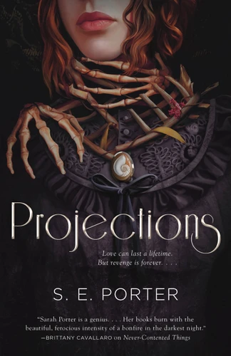 Projections: A Novel book cover by S. E. Porter