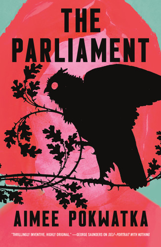 The Parliament book cover by Aimee Pokwatka