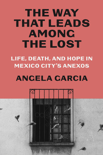 The Way That Leads Among the Lost: Life, Death, and Hope in Mexico City's Anexos book cover by Angela Garcia