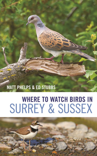 Where to Watch Birds in Surrey and Sussex (Where to Watch Birds) book cover by Matthew Phelps, Ed Stubbs