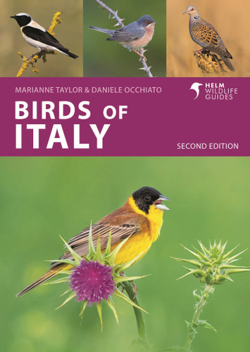 Birds of Italy: Second Edition (Helm Wildlife Guides) book cover by Marianne Taylor, Daniele Occhiato