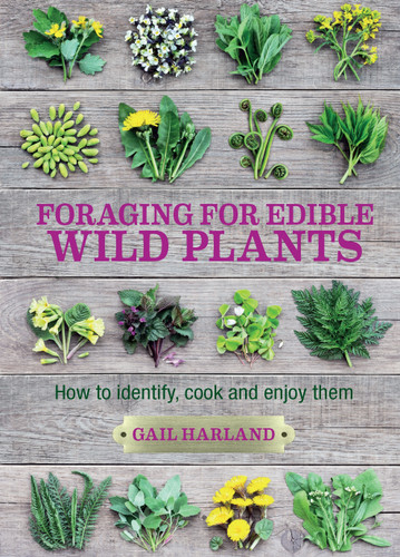 Foraging for Edible Wild Plants: How to identify, cook and enjoy them book cover by Gail Harland