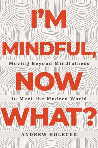 I'm Mindful, Now What?: Moving Beyond Mindfulness to Meet the Modern World book cover by Andrew Holecek