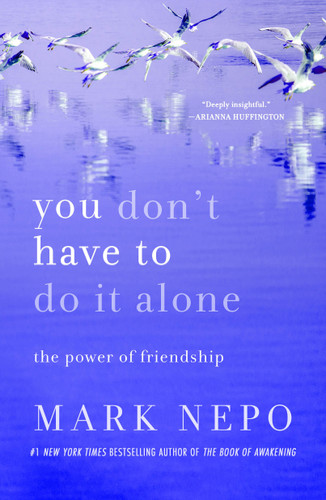 You Don't Have to Do It Alone: The Power of Friendship book cover by Mark Nepo