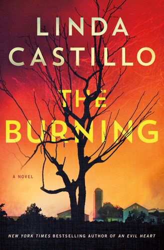The Burning: A Novel (Kate Burkholder #16) book cover by Linda Castillo