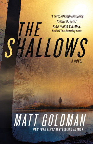 The Shallows: A Nils Shapiro Novel (Nils Shapiro #3) book cover by Matt Goldman