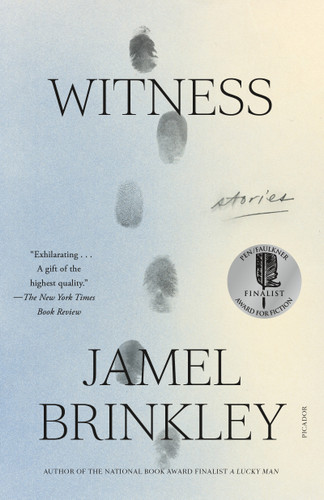 Witness: Stories book cover by Jamel Brinkley