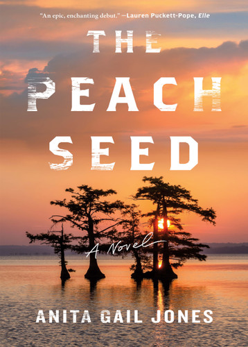 The Peach Seed: A Novel book cover by Anita Gail Jones