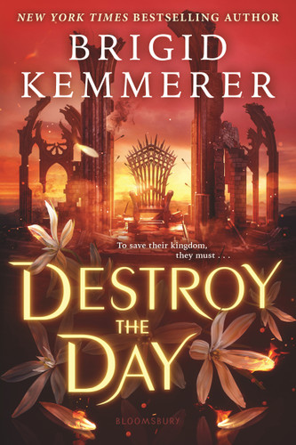 Destroy the Day (Defy the Night) book cover by Brigid Kemmerer