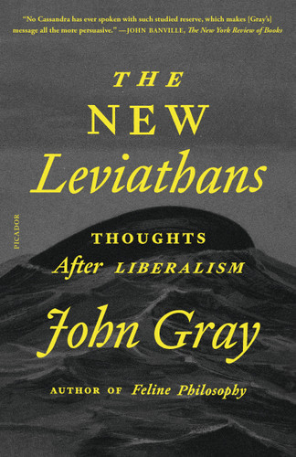 The New Leviathans: Thoughts After Liberalism book cover by John Gray