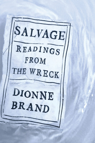 Salvage: Readings from the Wreck book cover by Dionne Brand
