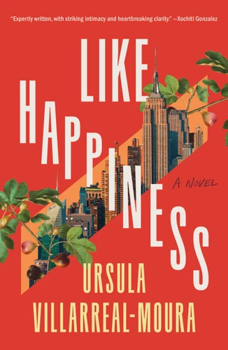 Like Happiness: A Novel book cover by Ursula Villarreal-Moura