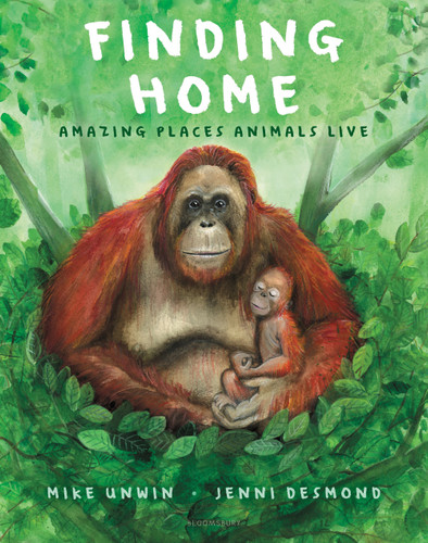 Finding Home: Amazing Places Animals Live [9781547615100]