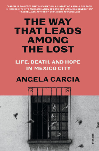 The Way That Leads Among the Lost: Life, Death, and Hope in Mexico City book cover by Angela Garcia