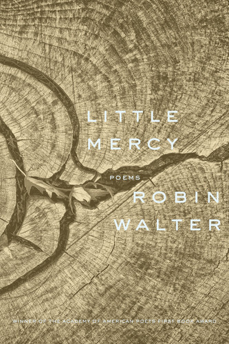 Little Mercy: Poems book cover by Robin Walter