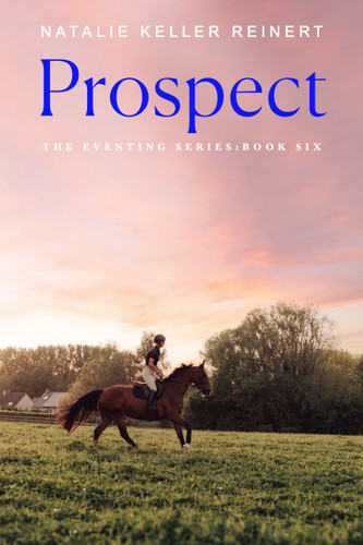 Prospect: A Novel book cover by Natalie Keller Reinert