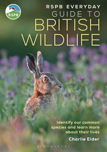 RSPB Everyday Guide to British Wildlife: Identify our common species and learn more about their lives (RSPB) book cover by Charlie Elder