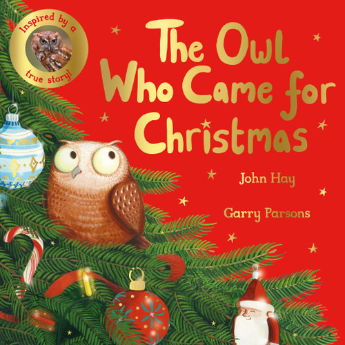 The Owl Who Came for Christmas book cover by John Hay