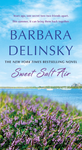 Sweet Salt Air: A Novel book cover by Barbara Delinsky